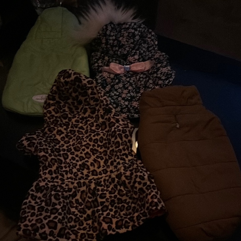 Stylish Dog Coats Collection like new coats and vests